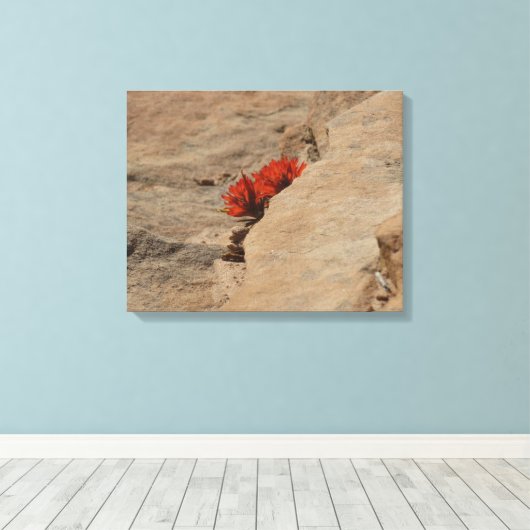 Indischer Pinsel in Rocks bei Zion Leinwanddruck (Insitu (Holzboden))