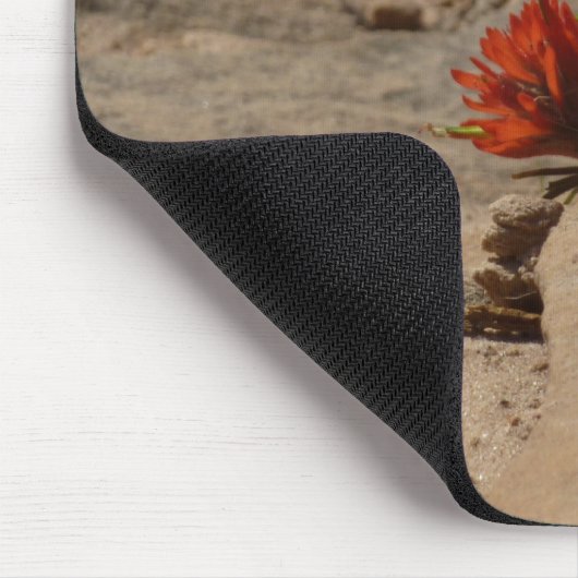 Indischer Pinsel in Rocks bei Zion Mousepad (Ecke)