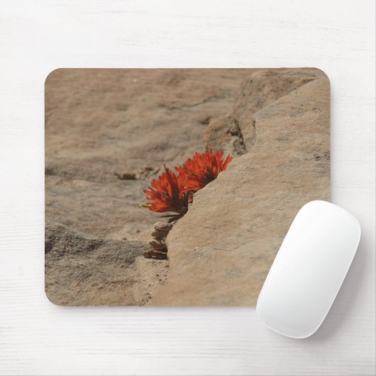 Indischer Pinsel in Rocks bei Zion Mousepad (Mit Mouse)