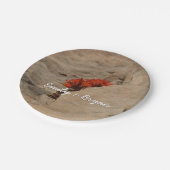 Indischer Pinsel in Rocks bei Zion Pappteller (Schrägansicht)