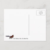 Indischer Pinsel in Rocks bei Zion Postkarte (Rückseite)