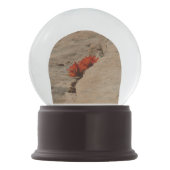 Indischer Pinsel in Rocks bei Zion Schneekugel (Rückseite)