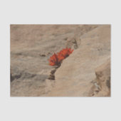 Indischer Pinsel in Rocks bei Zion Seidenpapier (Vorderseite)