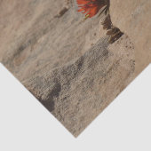 Indischer Pinsel in Rocks bei Zion Seidenpapier (Ausschnitt)