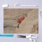 Indischer Pinsel in Rocks bei Zion Seidenpapier (Handwerk)