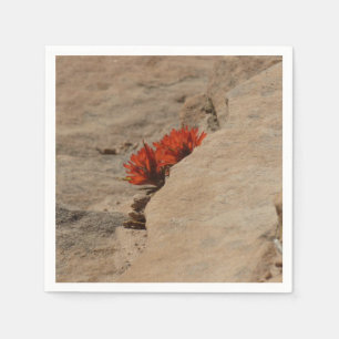 Indischer Pinsel in Rocks bei Zion Serviette