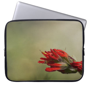 Indischer Pinsel Laptopschutzhülle