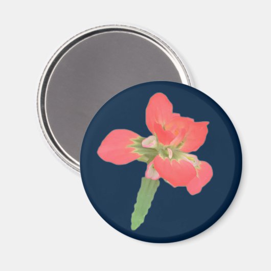 Indischer Pinsel Magnet (Vorderseite/Rückseite)