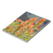 Indischer Pinsel Notizblock (Rotiert)