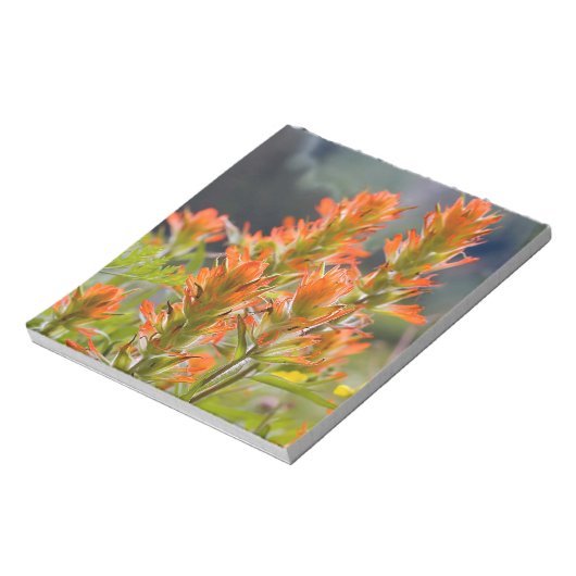 Indischer Pinsel Notizblock (Rotiert)