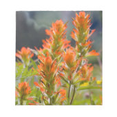 Indischer Pinsel Notizblock (Vorderseite)