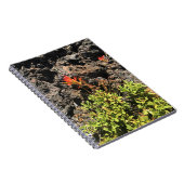 Indischer Pinsel Notizblock (Rechte Seite)