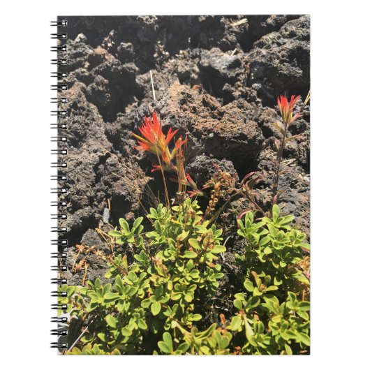 Indischer Pinsel Notizblock (Vorderseite)