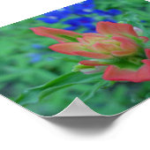 Indischer Pinsel Poster (Ecke)