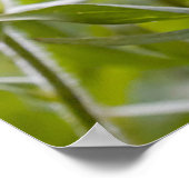 Indischer Pinsel Poster (Ecke)