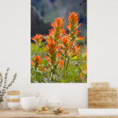 Indischer Pinsel Poster (Küche)