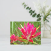 Indischer Pinsel Postkarte (Stehend Vorderseite)