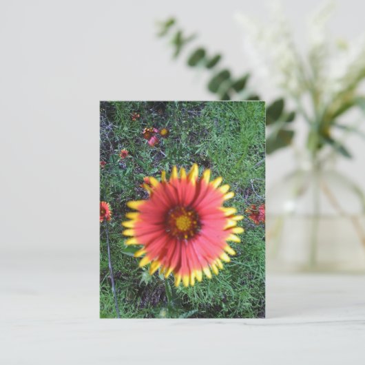 Indischer Pinsel Postkarte (Stehend Vorderseite)