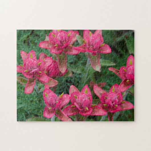 Indischer Pinsel Puzzle (Horizontal)