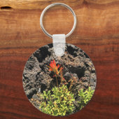 Indischer Pinsel Schlüsselanhänger (Vorderseite)