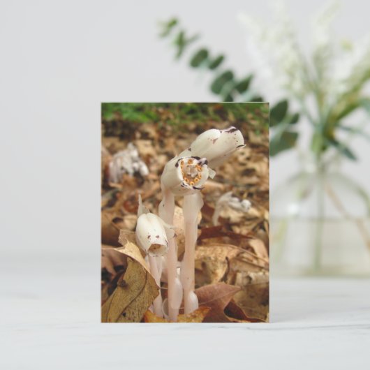 Indischer Pipe Kalender ~ Postkarte (Stehend Vorderseite)