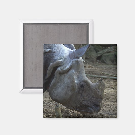 Indischer Rhinoceros Magnet (Vorderseite/Rückseite)