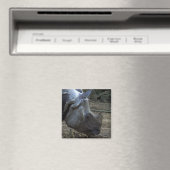 Indischer Rhinoceros Magnet (In Situ (Geschirrspüler))