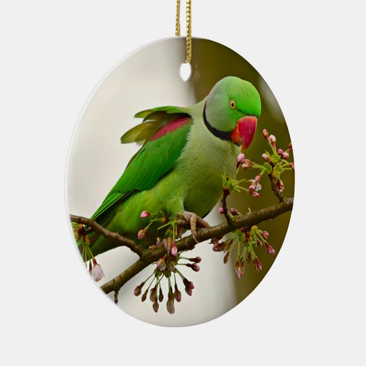 Indischer Ringelpapagei Keramik Ornament (Rechts)