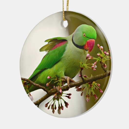 Indischer Ringelpapagei Keramik Ornament (Links)