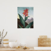 Indischer Schilf, Antique Print von Robert John Th Poster (Küche)