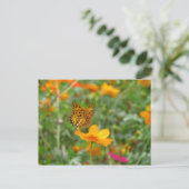 Indischer Schmetterling und Blume Postkarte (Stehend Vorderseite)