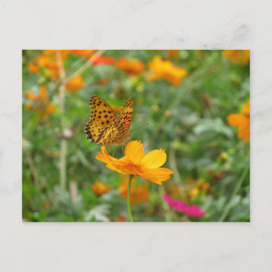 Indischer Schmetterling und Blume Postkarte