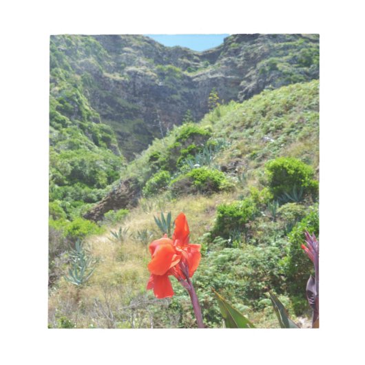 Indischer Schuss (Canna Indica purpurea) Notizblock (Vorderseite)