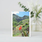 Indischer Schuss (Canna indica purpurea) Postkarte (Stehend Vorderseite)