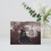 Indischer Schwarzbär Postkarte (Stehend Vorderseite)