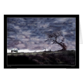 Indischer Sonnenuntergang