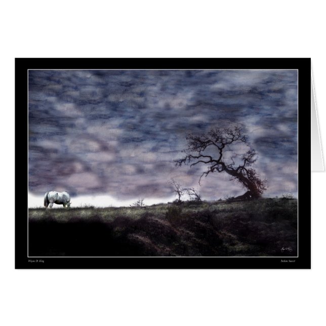 Indischer Sonnenuntergang (Vorderseite (Horizontal))