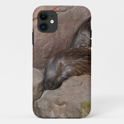 Indischer Stachelschwein Case-Mate iPhone Hülle (Rückseite)