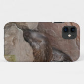 Indischer Stachelschwein Case-Mate iPhone Hülle (Rückseite (Horizontal))