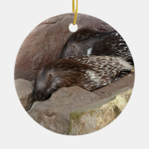 Indischer Stachelschwein Keramik Ornament