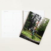 Indischer Totem Poll Glacier Park Montana Planer (Anzeige)