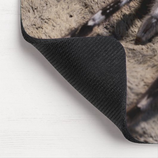 Indischer Ziertarantal Mousepad (Ecke)