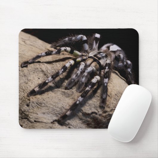 Indischer Ziertarantal Mousepad (Mit Mouse)