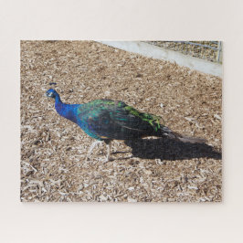 Indisches Blaues Pfauen-Holzpuzzle Puzzle