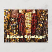 Indisches Cornelkernels-Foto Postkarte (Vorderseite)