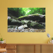 Indisches Dorf Canyon, Kolumbus, Ohio Leinwanddruck (Insitu (Wohnzimmer))