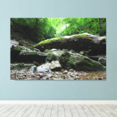 Indisches Dorf Canyon, Kolumbus, Ohio Leinwanddruck (Insitu (Holzboden))