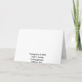 Indisches Heiligtum Karte (Rückseite)