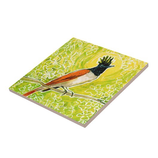 Indisches Paradies Flycatche Tropical Bird Chartre Fliese (Seite)