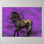 Indisches Pferd Poster (Vorne)